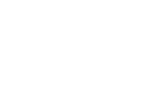 Domestic & General Connected Networks